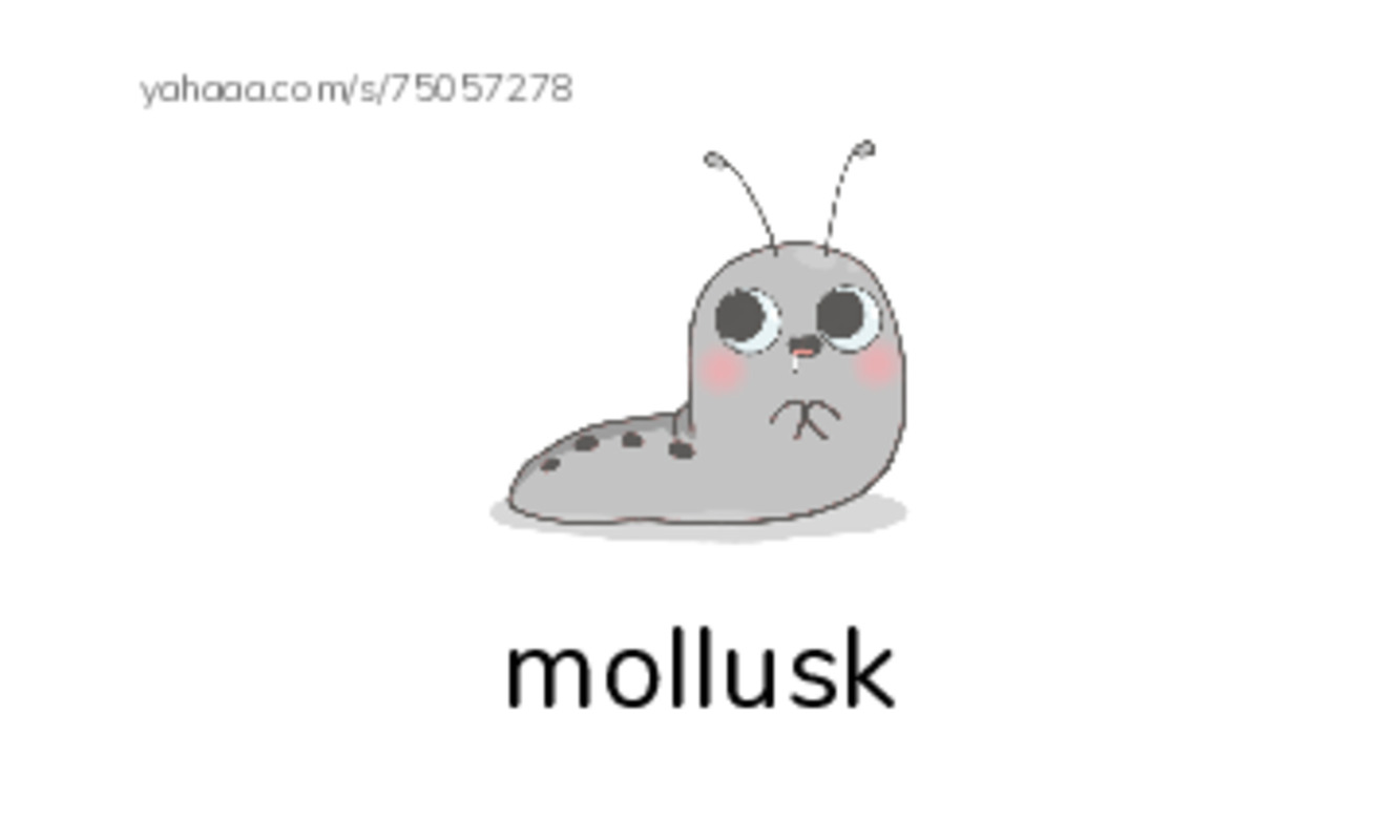 RAZ Vocabulary N: The Secret Lives of Snails and Slugs PDF index cards with images