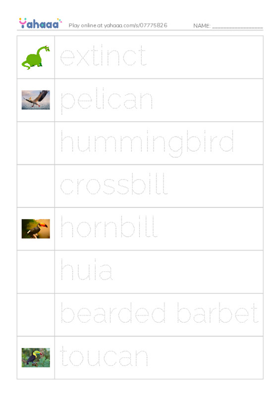 RAZ Vocabulary N: Weird Bird Beaks PDF one column image words