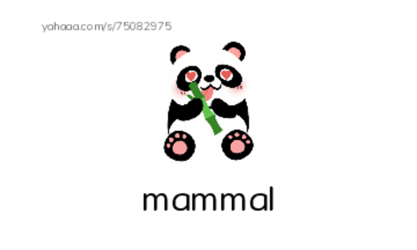 RAZ Vocabulary O: Bats PDF index cards with images