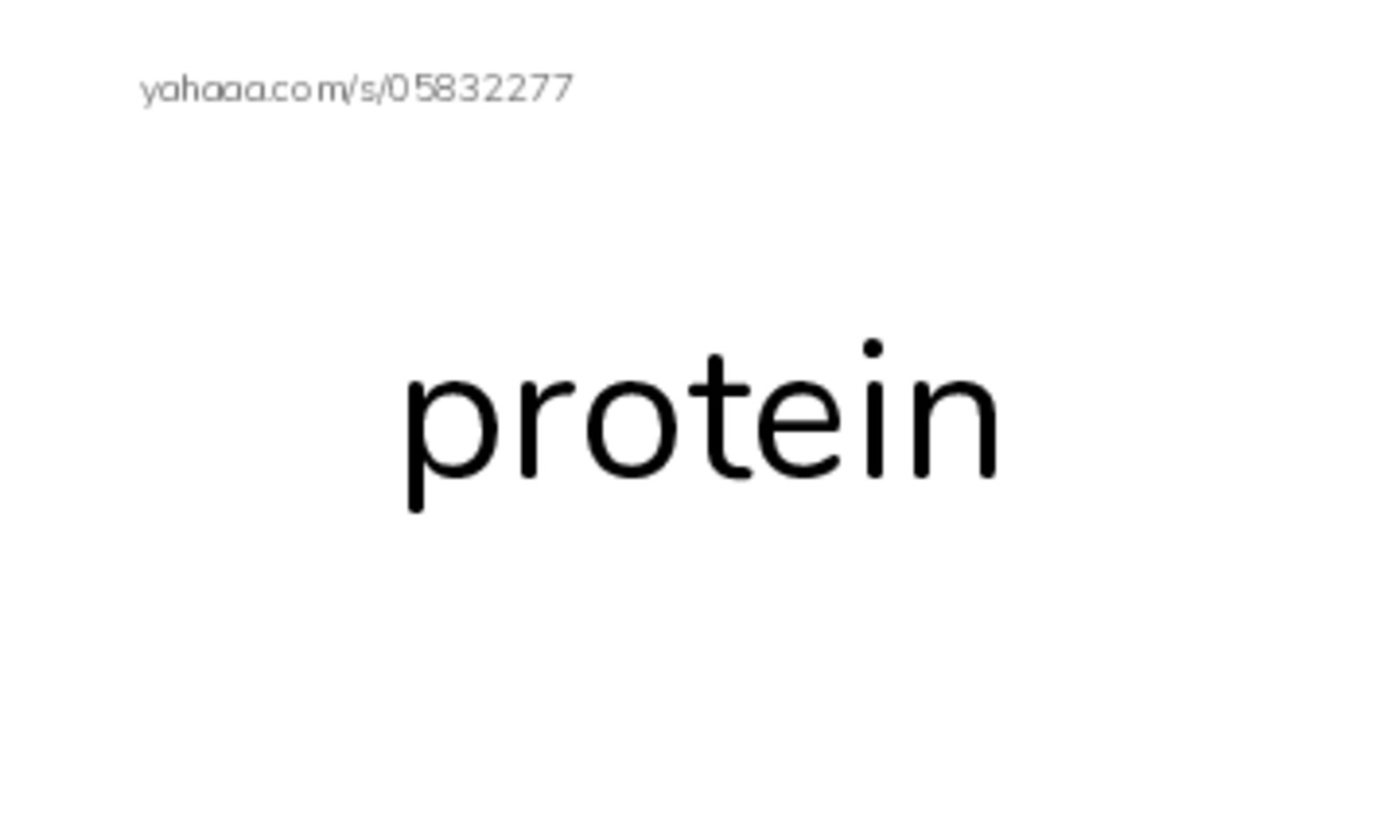 RAZ Vocabulary O: Edible Bugs2 PDF index cards word only