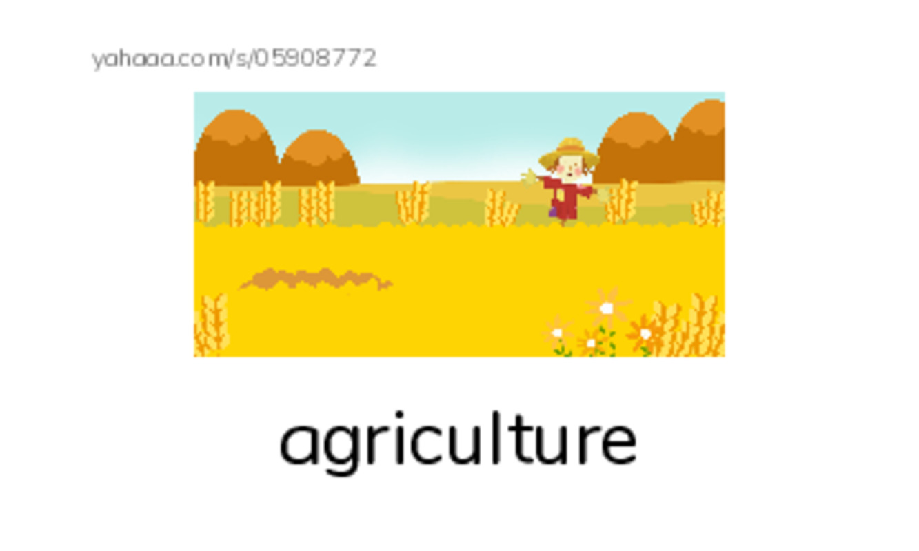 RAZ Vocabulary O: George Washington Carver PDF index cards with images