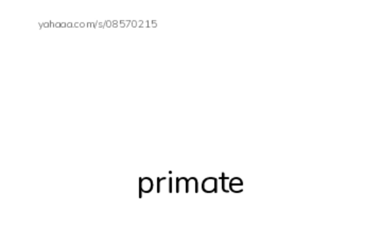 RAZ Vocabulary O: Looking for Bigfoot1 PDF index cards with images