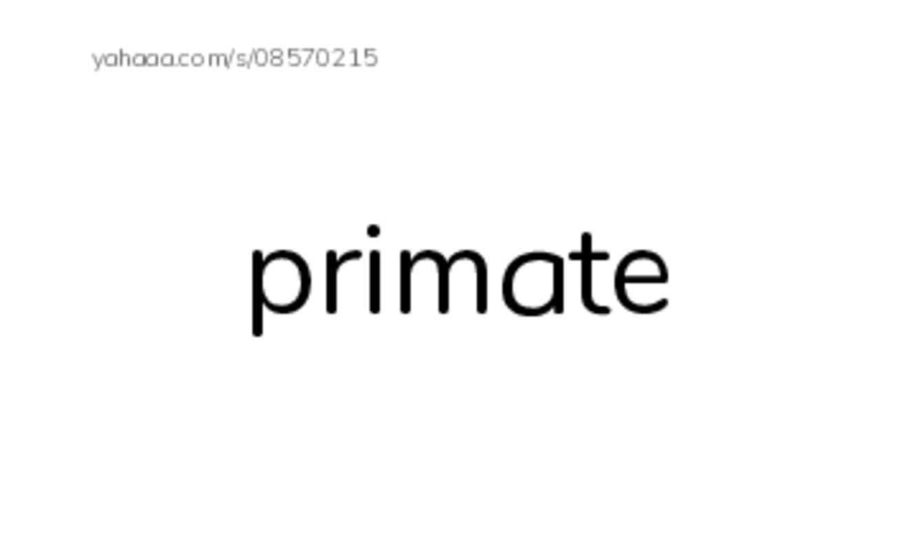 RAZ Vocabulary O: Looking for Bigfoot1 PDF index cards word only