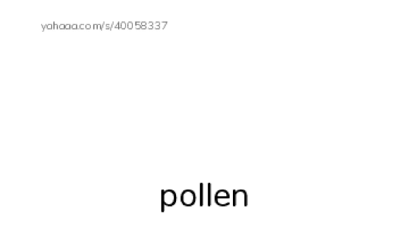 RAZ Vocabulary O: The Beekeeper PDF index cards with images