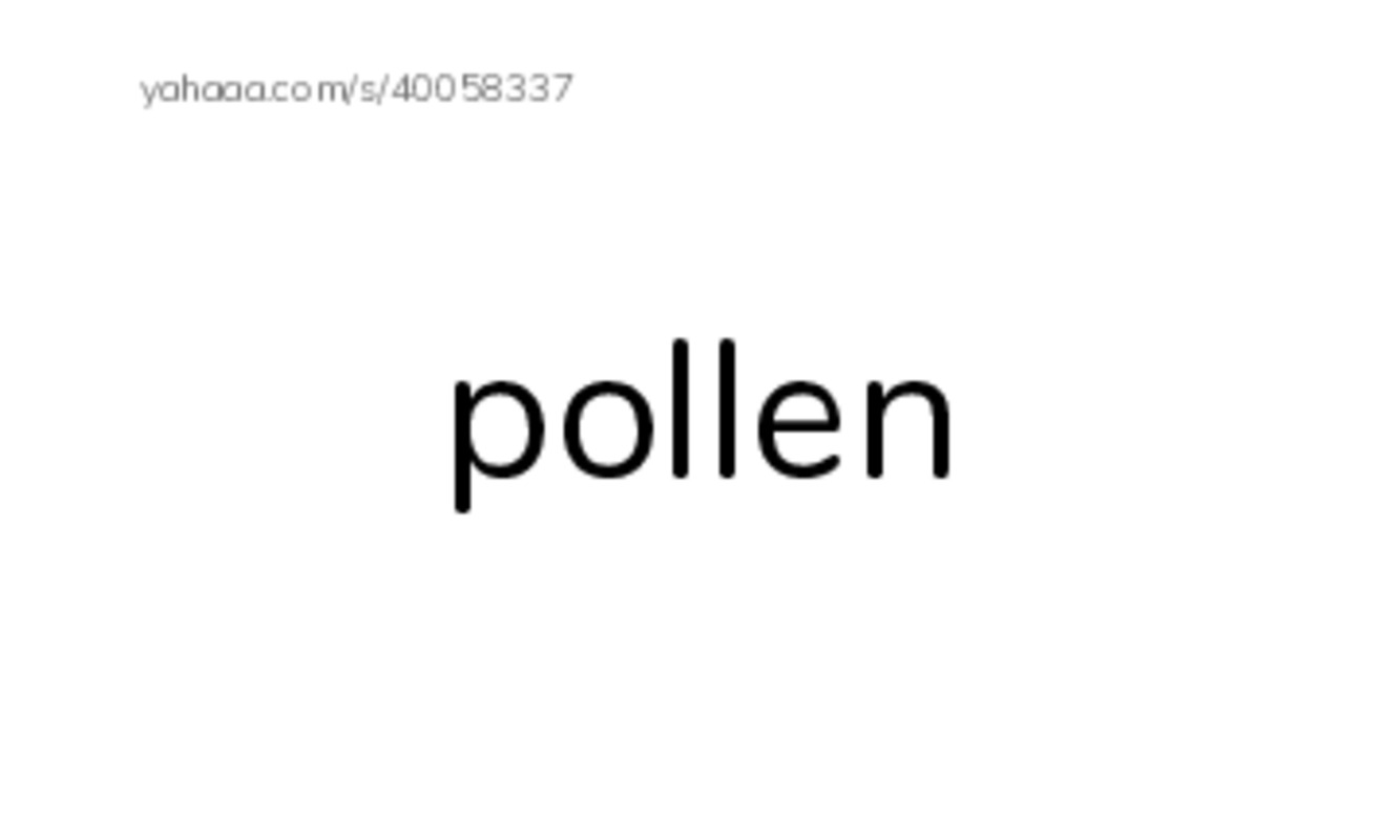 RAZ Vocabulary O: The Beekeeper PDF index cards word only