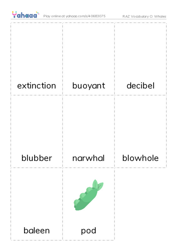 RAZ Vocabulary O: Whales PDF flaschards with images