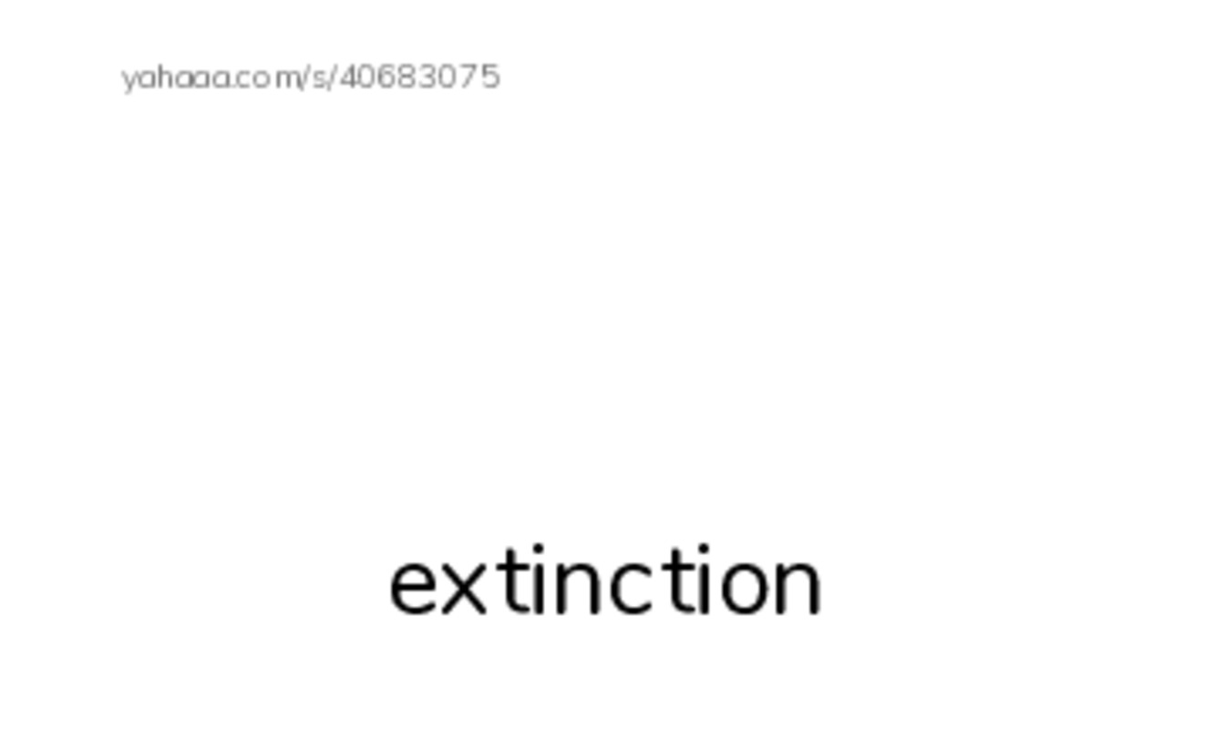 RAZ Vocabulary O: Whales PDF index cards with images