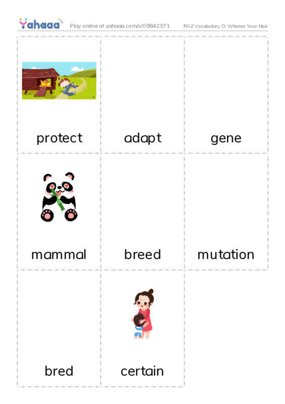 RAZ Vocabulary O: Wheres Your Hair PDF flaschards with images