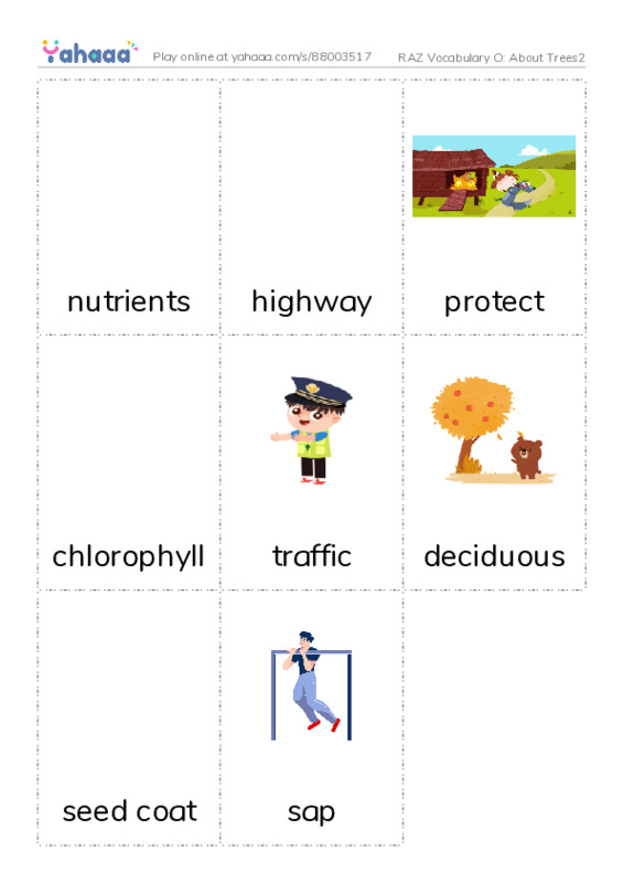 RAZ Vocabulary O: About Trees2 PDF flaschards with images