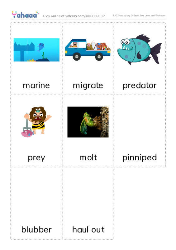RAZ Vocabulary O: Seals Sea Lions and Walruses PDF flaschards with images