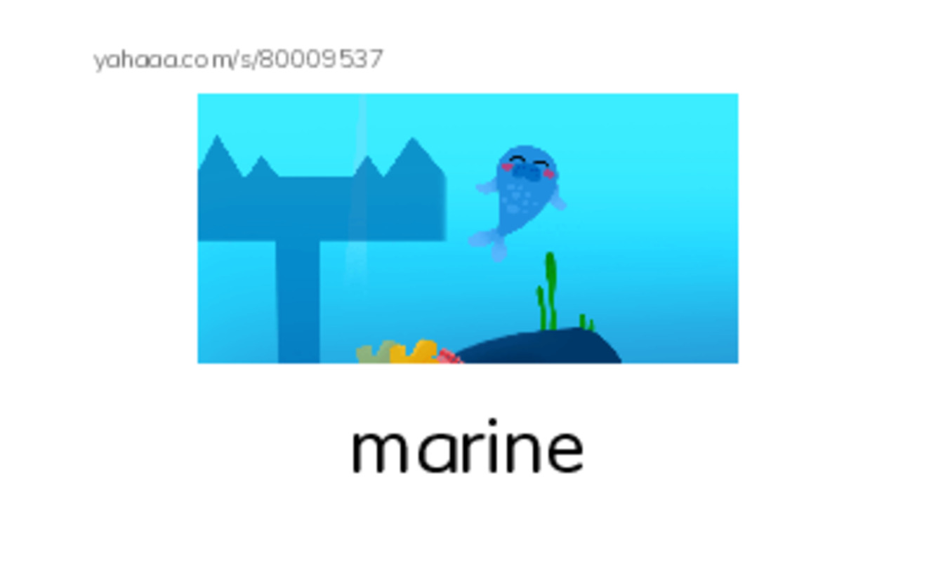 RAZ Vocabulary O: Seals Sea Lions and Walruses PDF index cards with images