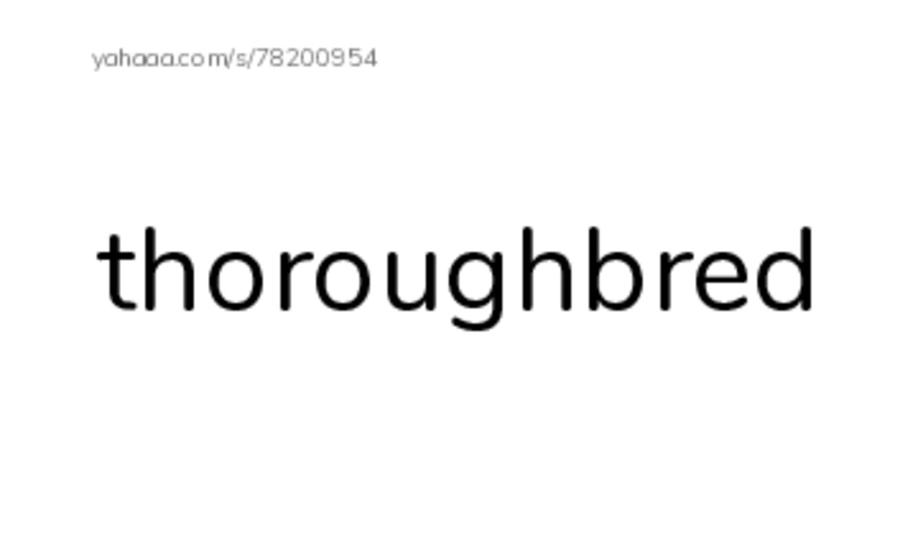RAZ Vocabulary Q: Chili Pepper Powder Surprise2 PDF index cards word only