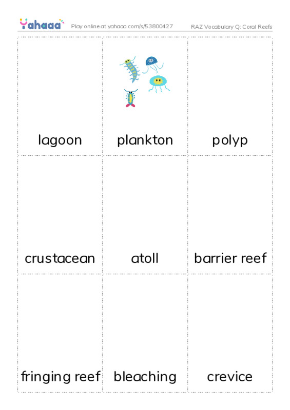 RAZ Vocabulary Q: Coral Reefs PDF flaschards with images