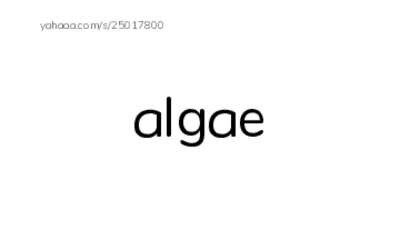 RAZ Vocabulary Q: Extreme Animals PDF index cards word only