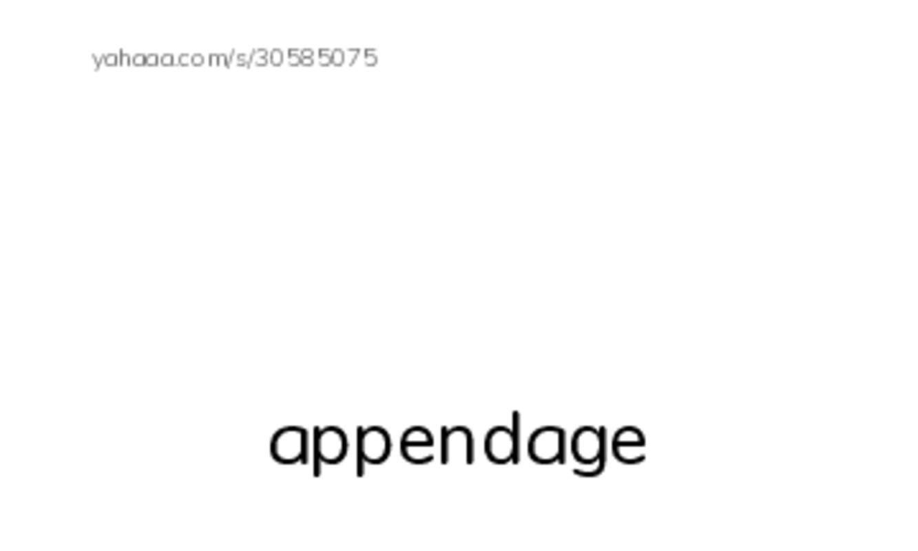 RAZ Vocabulary Q: Goliath BirdEating Spiders Giant Arachnids PDF index cards with images
