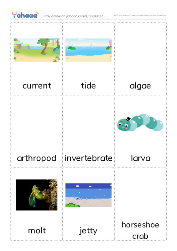 RAZ Vocabulary Q: Horseshoes Arent Just for Good Luck PDF flaschards with images