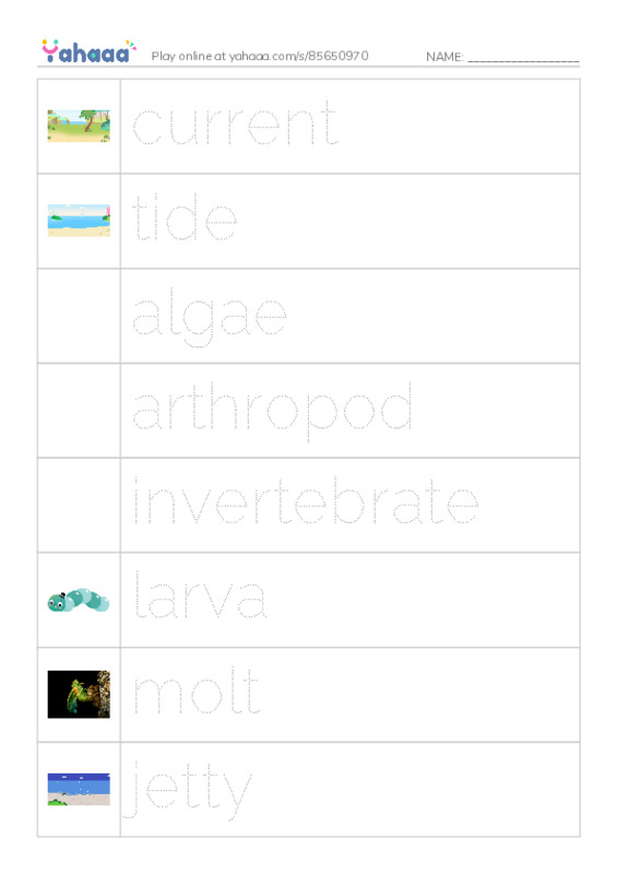 RAZ Vocabulary Q: Horseshoes Arent Just for Good Luck PDF one column image words