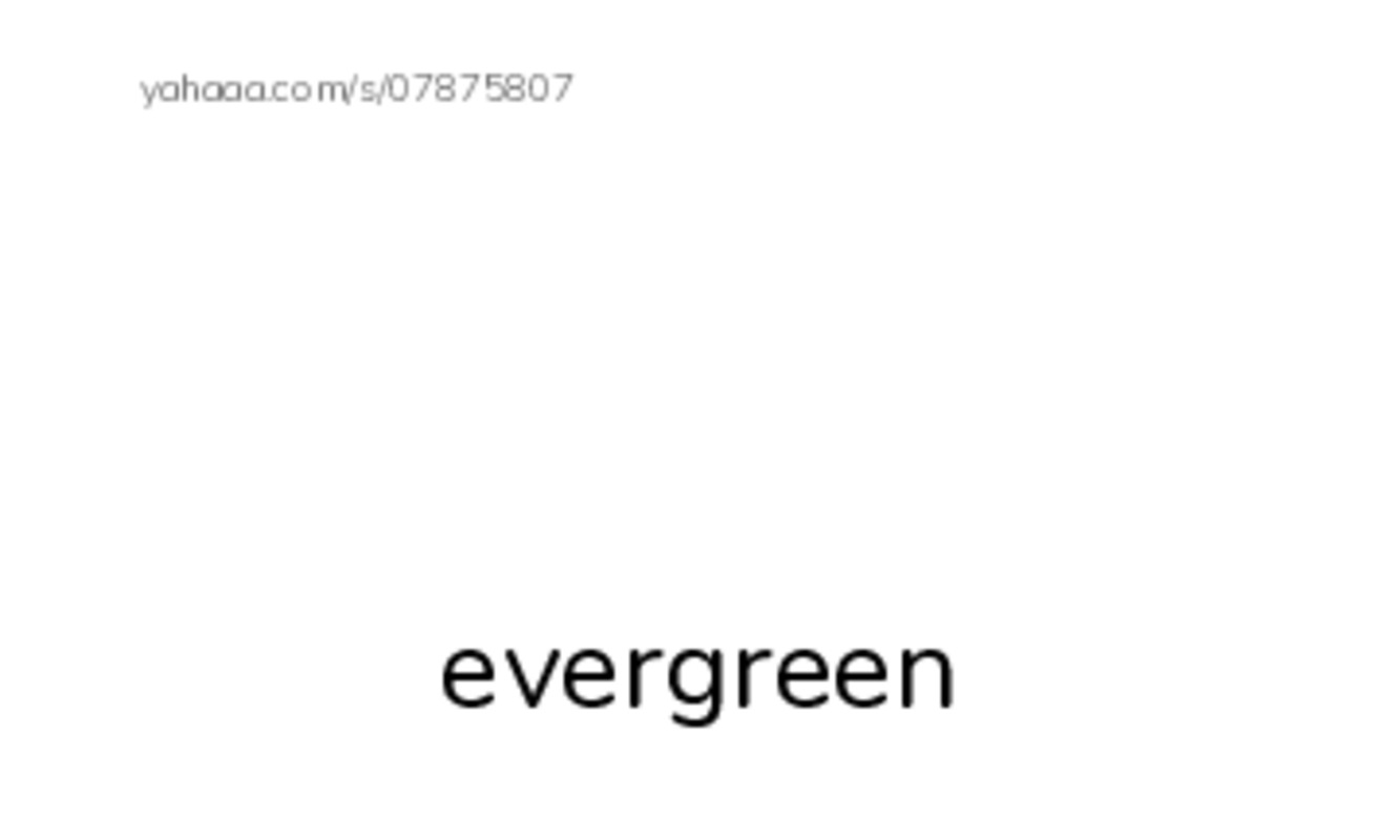 RAZ Vocabulary Q: The Little Fir Tree PDF index cards with images