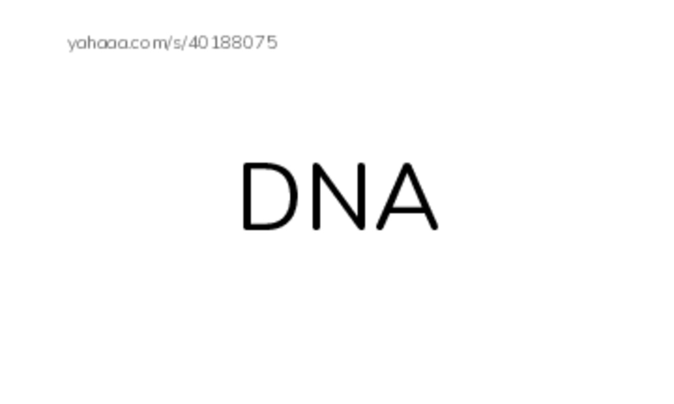 RAZ Vocabulary R: Animal Discoveries2 PDF index cards word only