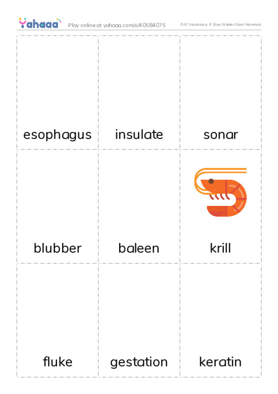 RAZ Vocabulary R: Blue Whales Giant Mammals PDF flaschards with images