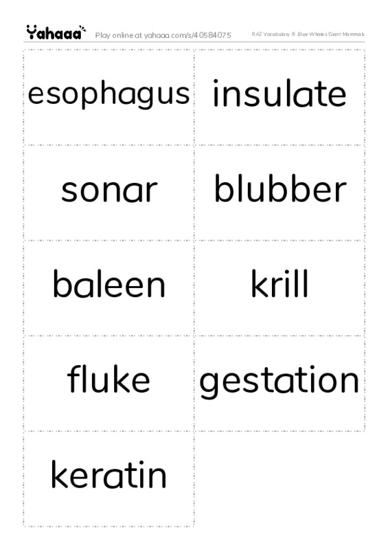 RAZ Vocabulary R: Blue Whales Giant Mammals PDF two columns flashcards