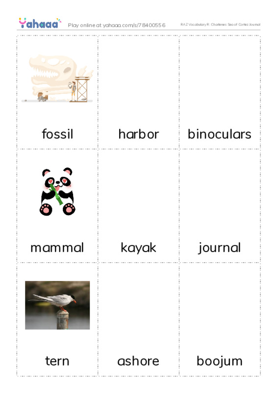 RAZ Vocabulary R: Charlenes Sea of Cortez Journal PDF flaschards with images