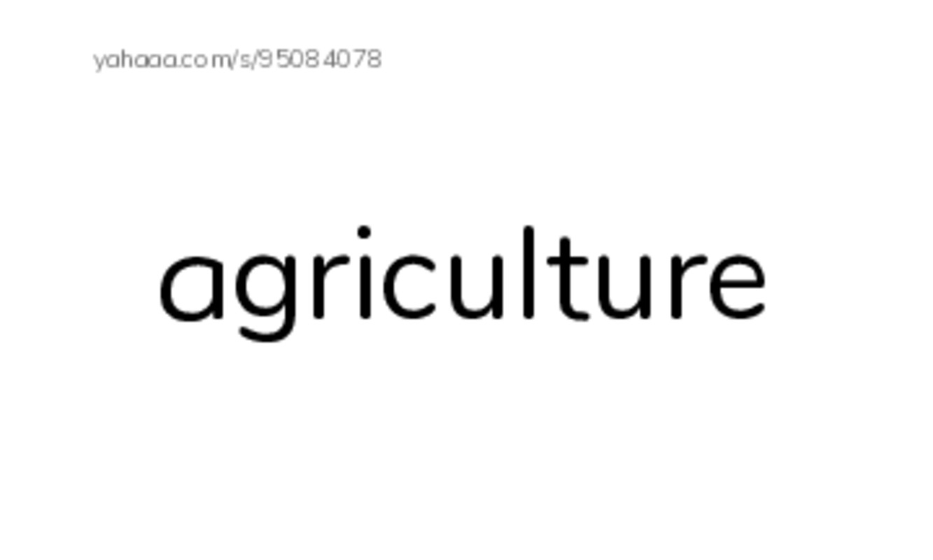 RAZ Vocabulary R: George Washington Carver PDF index cards word only