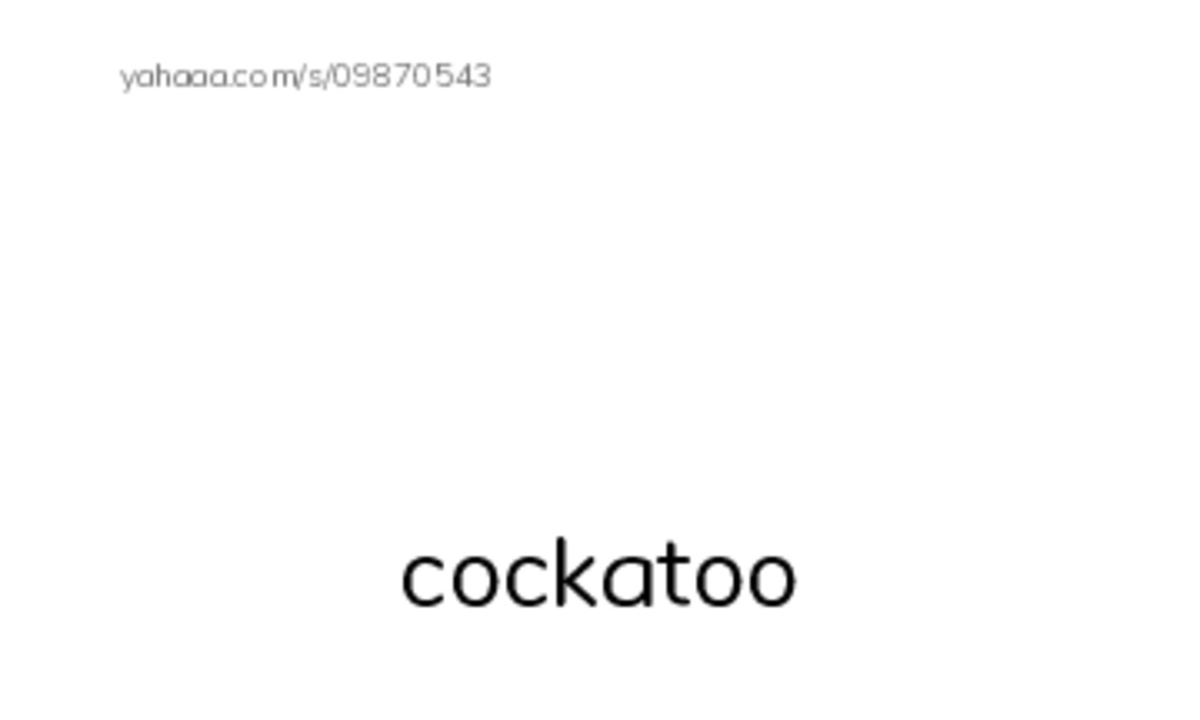 RAZ Vocabulary R: How the Robin Stole Fire2 PDF index cards with images