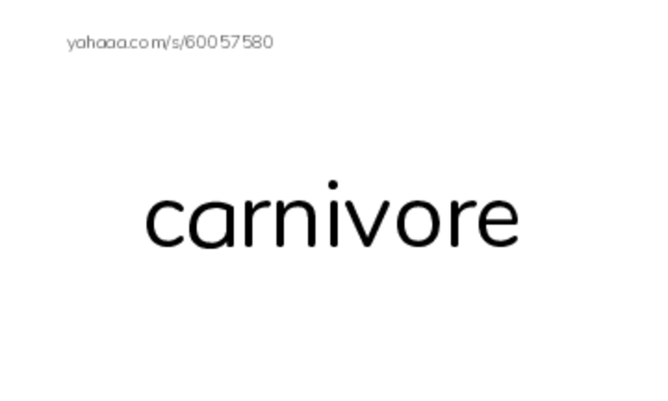 RAZ Vocabulary R: Sea Turtles PDF index cards with images