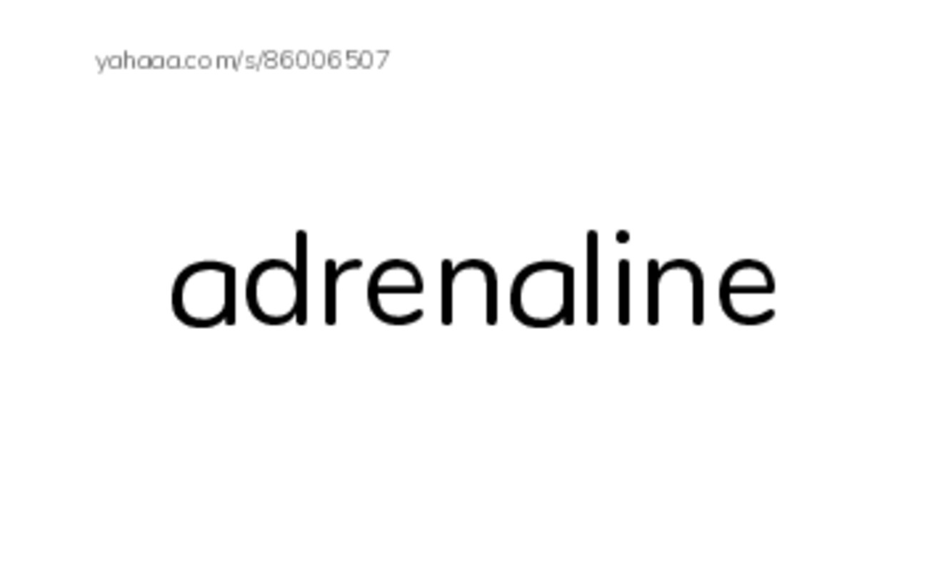RAZ Vocabulary R: Skydiving PDF index cards word only