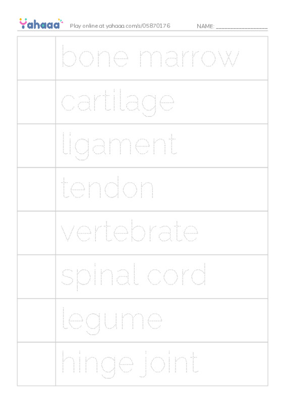 RAZ Vocabulary R: The Hard Stuff All About Bones PDF one column image words