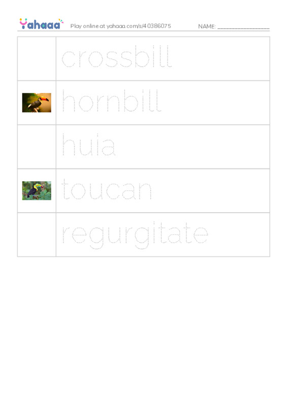 RAZ Vocabulary R: Weird Bird Beaks2 PDF one column image words