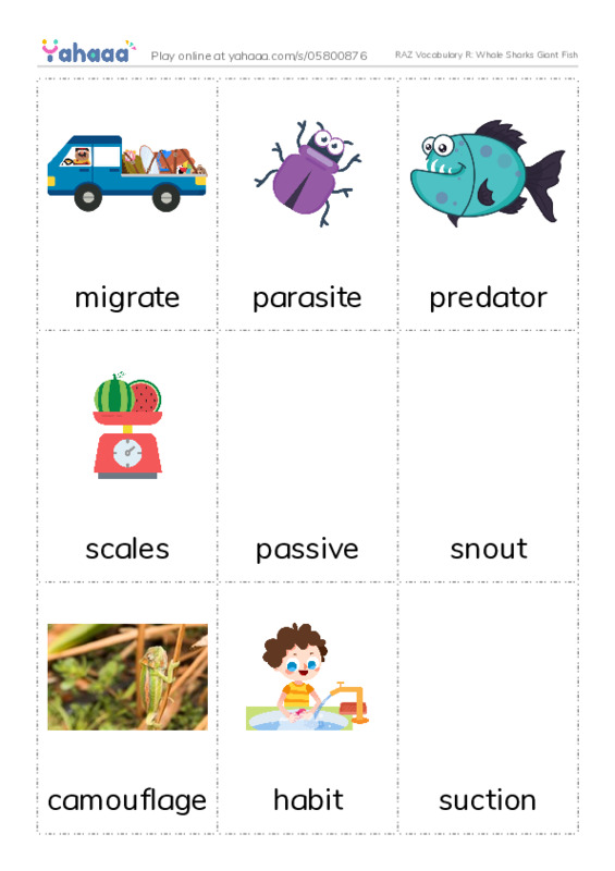 RAZ Vocabulary R: Whale Sharks Giant Fish PDF flaschards with images