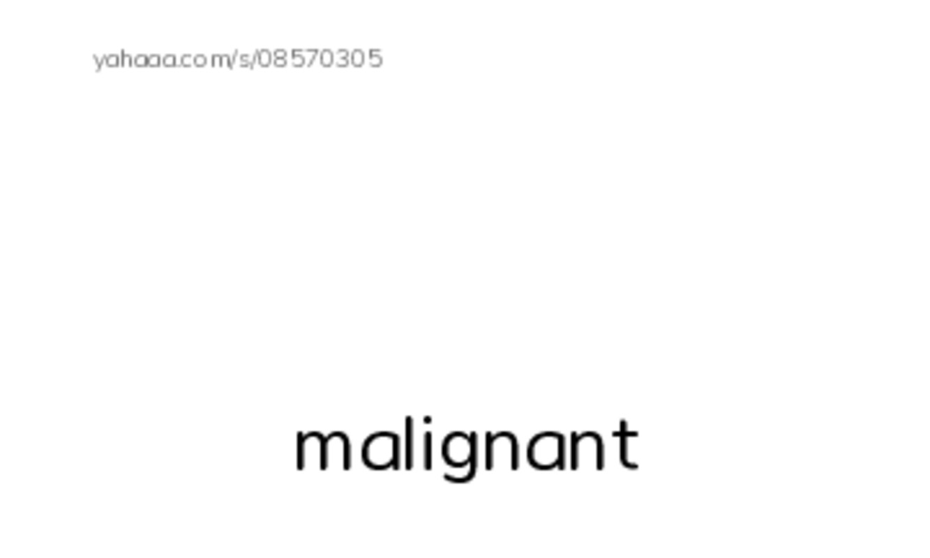 RAZ Vocabulary S: Animals Feel Emotions PDF index cards with images
