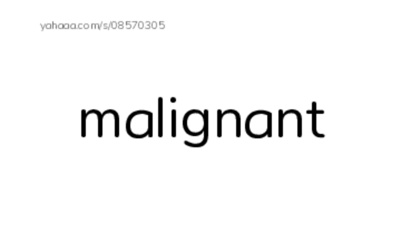 RAZ Vocabulary S: Animals Feel Emotions PDF index cards word only