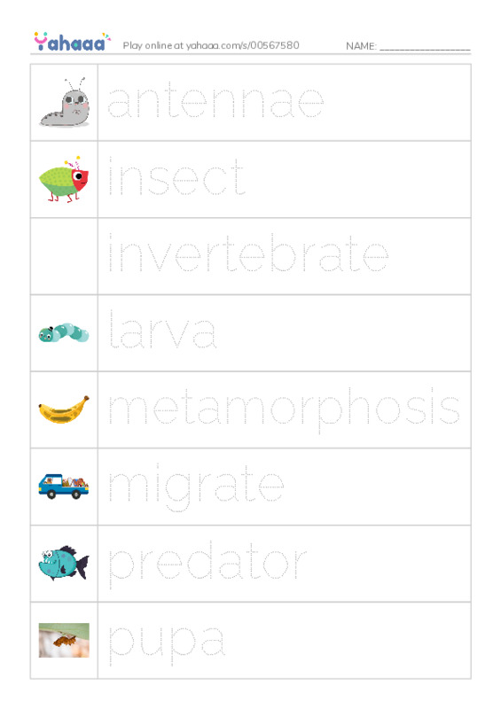 RAZ Vocabulary S: Butterflies and Moths PDF one column image words