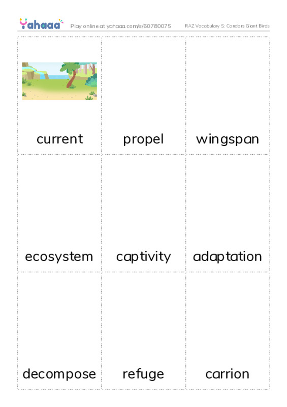 RAZ Vocabulary S: Condors Giant Birds PDF flaschards with images