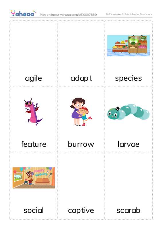RAZ Vocabulary S: Goliath Beetles Giant Insects PDF flaschards with images