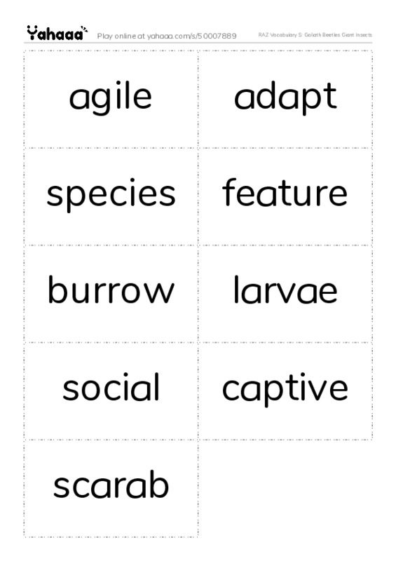 RAZ Vocabulary S: Goliath Beetles Giant Insects PDF two columns flashcards