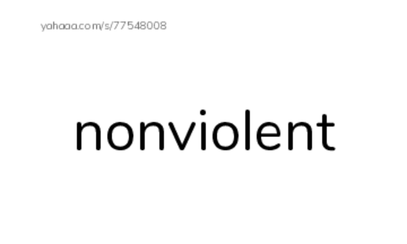 RAZ Vocabulary S: Martin Luther King Jr PDF index cards with images