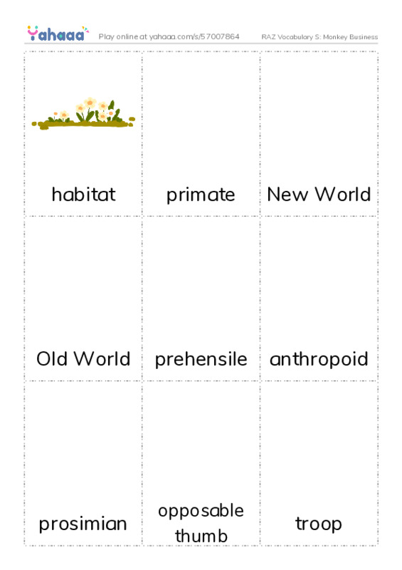 RAZ Vocabulary S: Monkey Business PDF flaschards with images