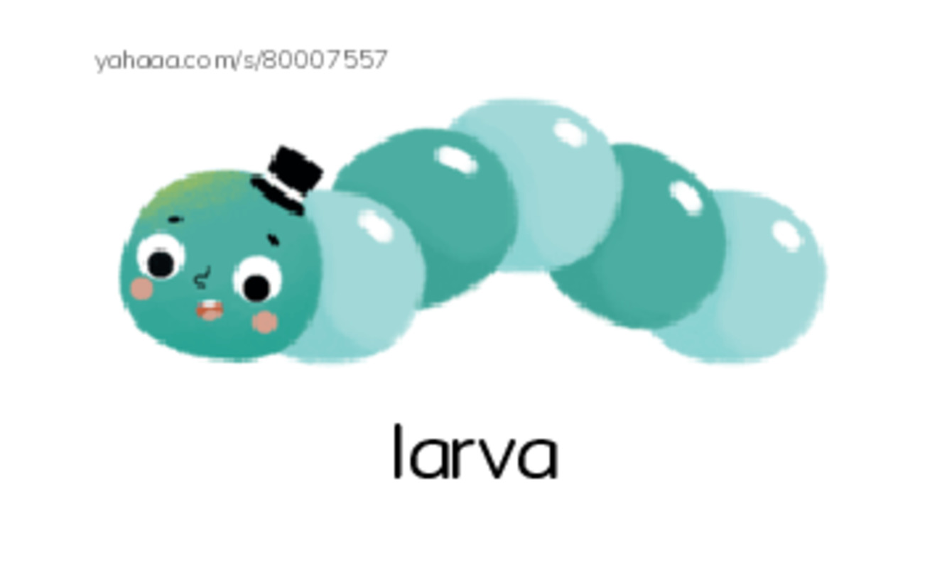 RAZ Vocabulary T: A Trip to a Prehistoric Cave PDF index cards with images