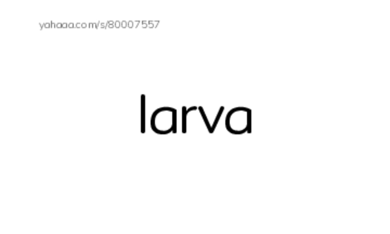 RAZ Vocabulary T: A Trip to a Prehistoric Cave PDF index cards word only