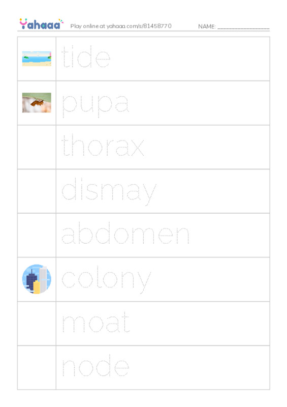 RAZ Vocabulary T: Ants in My Bed PDF one column image words