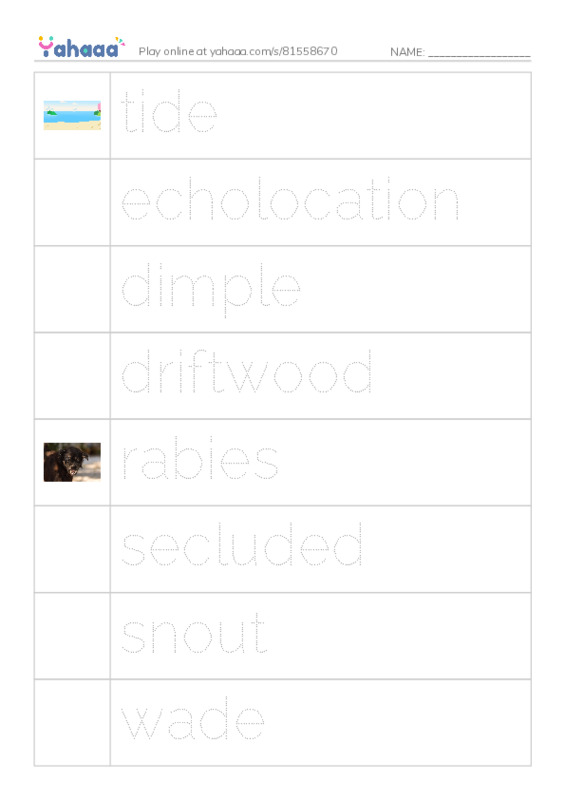 RAZ Vocabulary T: Bats in the Attic PDF one column image words