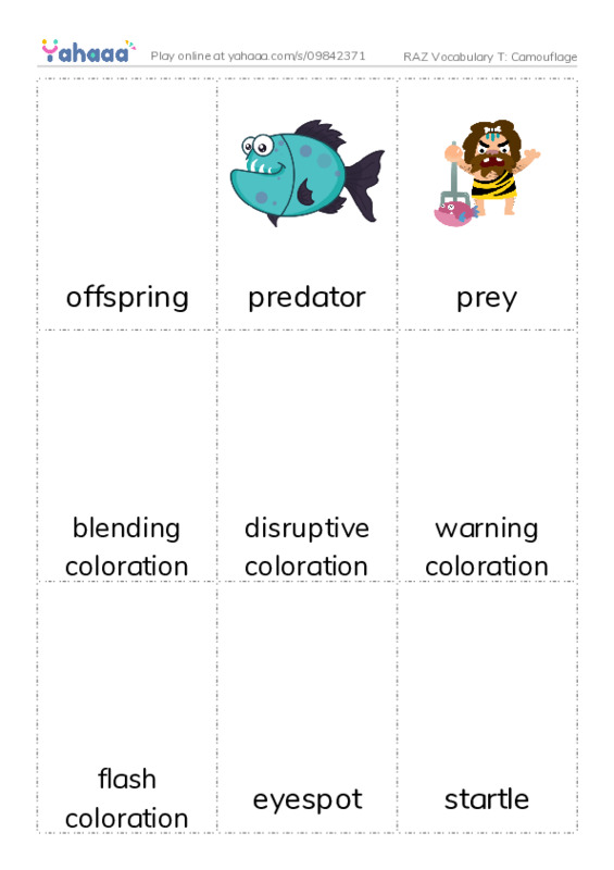 RAZ Vocabulary T: Camouflage PDF flaschards with images