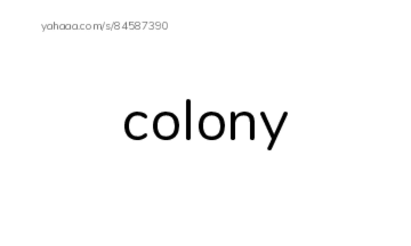 RAZ Vocabulary T: Remembering the Alamo PDF index cards word only