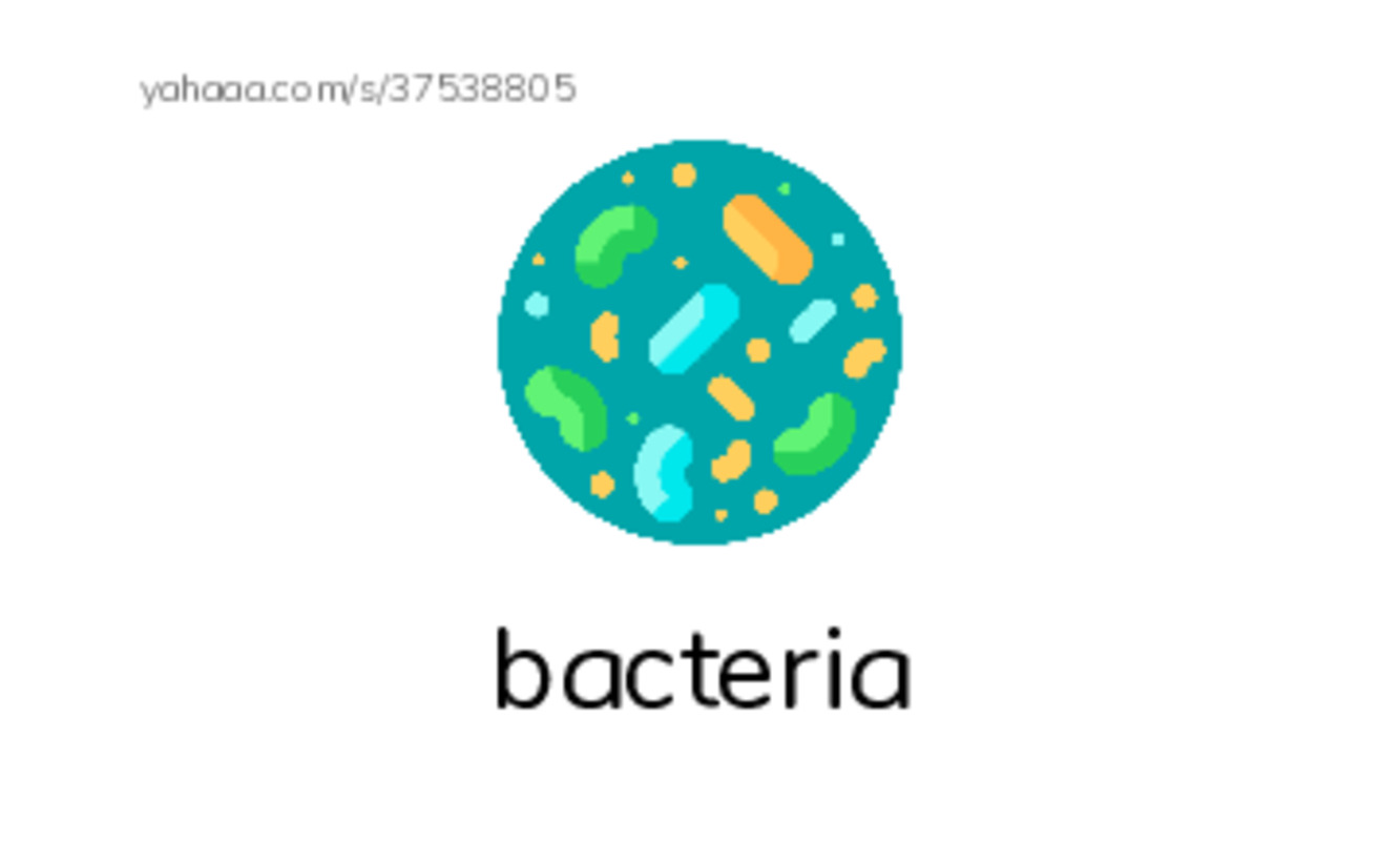 RAZ Vocabulary T: What is Water Worth PDF index cards with images