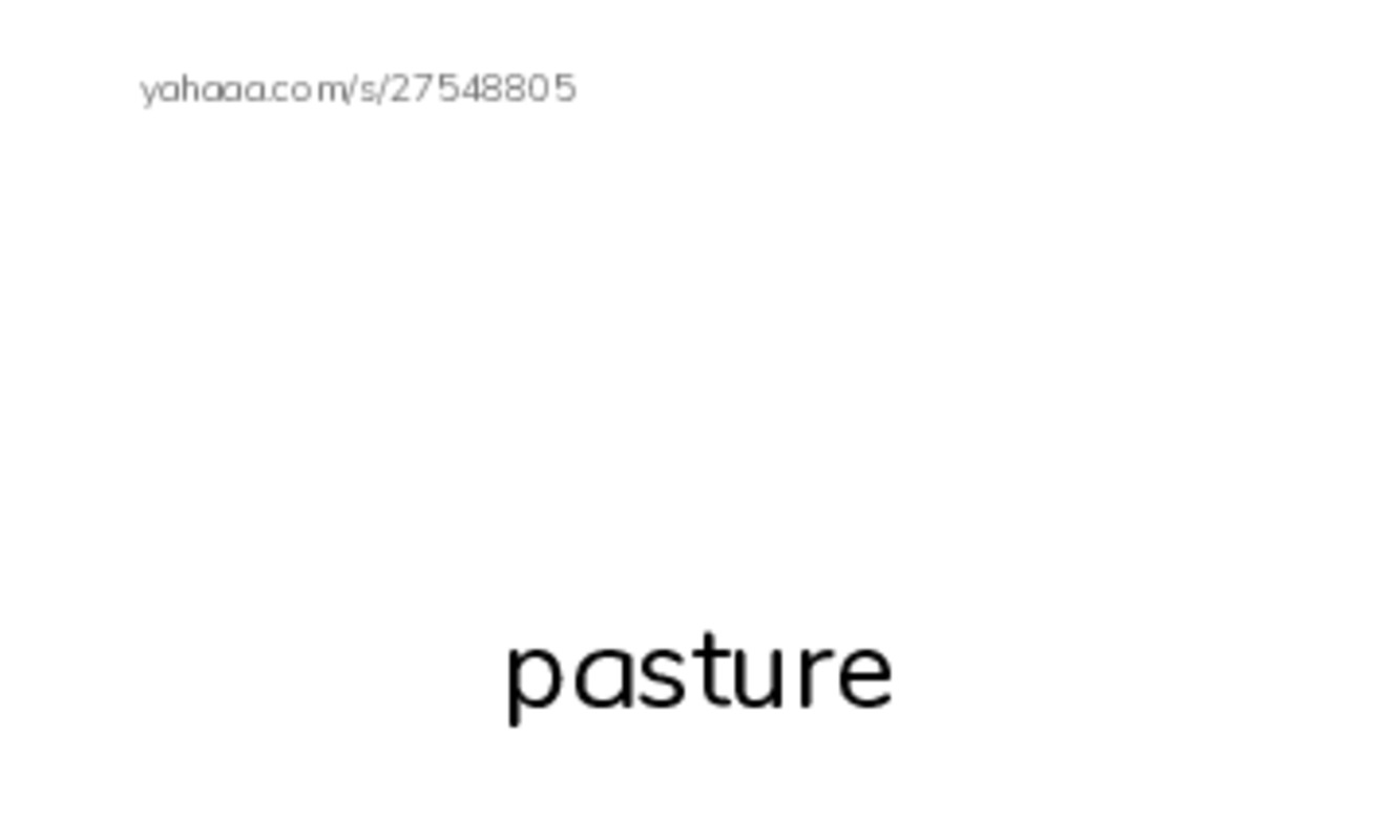 RAZ Vocabulary U: Samson A Horse Story PDF index cards with images
