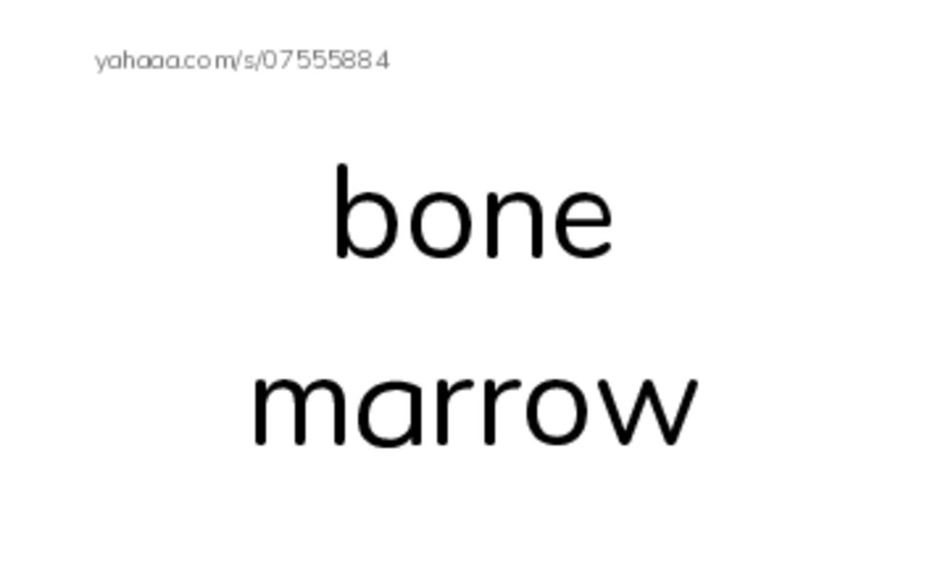 RAZ Vocabulary V: Female Sports Stars PDF index cards with images